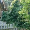 ◆飯塚の古墳５基＋α④下臼井日吉（しもうすいひよし）古墳　2018年6月13日の記録