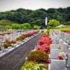 2025/05/12　昨日は「母の日」