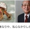 2025/07/22　ヤドカリに学ぶ